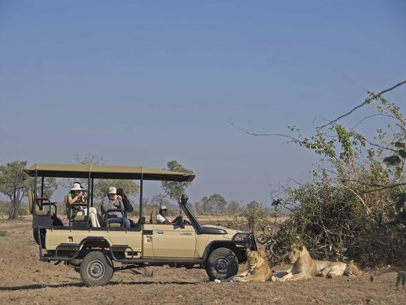 Puku Ridge - game drive with lions